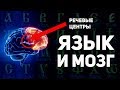 Как буквица раскрывает способности мозга. Славянская матрица мировосприятия. А. Ивашко