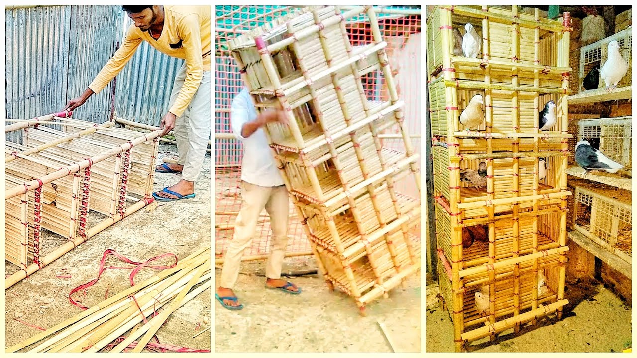 বাঁশ দিয়ে কবুতরের ঘর তৈরির নিয়ম Rules for making a pigeon house with bamboo