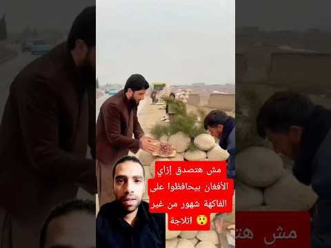 مش هتصدق إزاي الأفغان بيحافظوا على الفاكهة شهور من غير تلاجة أفعان تلاجة طبيعية فاكهة حفاظ