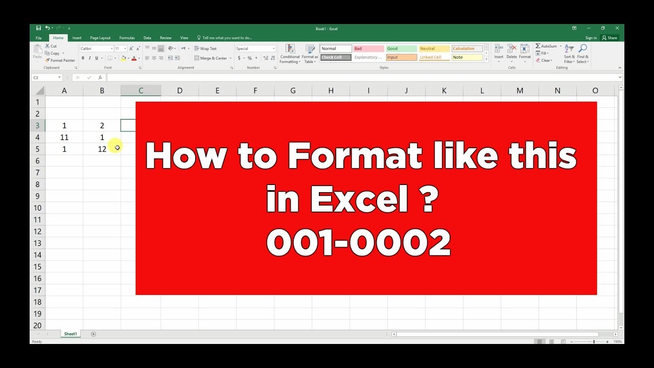 Custom Formatting in Excel | Add leading Zero and Hyphen | Microsoft ...