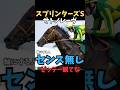 【スプリンターズS2025】軸にする人センス無し/サトノレーヴ#スプリンターズs #サトノレーヴ #競馬予想 #競馬予想 #競馬予想tv #中央競馬予想 #shorts