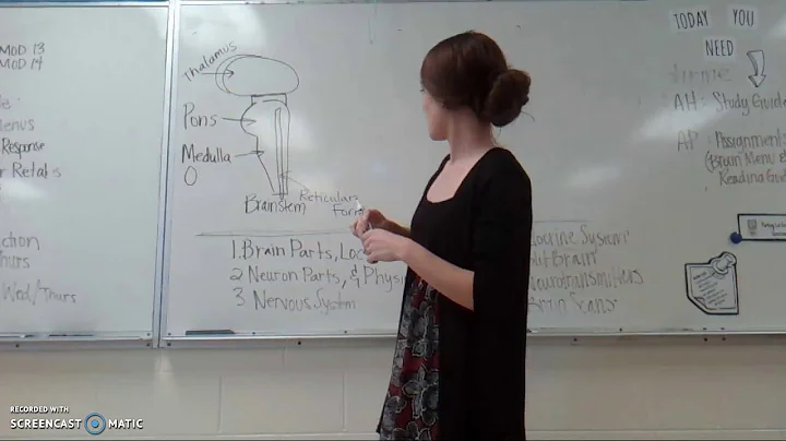 Bio Unit - Study Session: Part 1 - The Endocrine S...