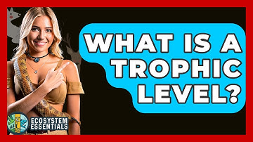 What Is A Trophic Level? - Ecosystem Essentials