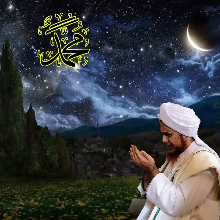 Story'wa PENYEJUK HATI. ll memandang wajah indah cucu Rasulullah al habib umar bin hafidz