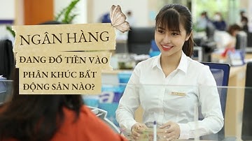 Ngân hàng đang đổ tiền vào phân khúc bất động sản nào?