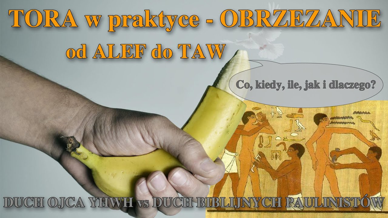 TORA w praktyce - OBRZEZANIE od ALEF do TAW
