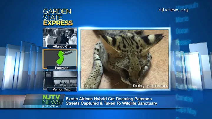 March 24, 2017: Garden State Express