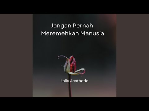 Preview Jangan pernah remehkan manusia laila meser