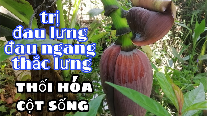 Chuối hương là gì