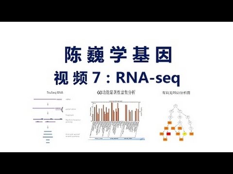 【陈巍学基因】视频7：RNA-seq方法和应用