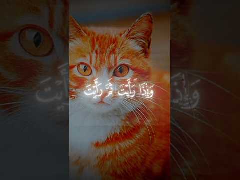 اكتب شي يشفع لك يوم القيامة يا حبيبي