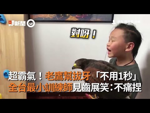 老鹰霸气帮拔牙不用1秒 全台最小训练师见齿笑：不痛捏(视频)