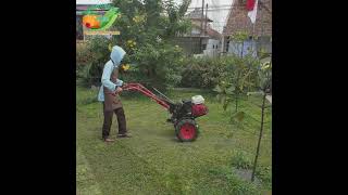 Suasana Wangunsari Farm Hidroponik wangunsari wangunsarifarm wangunsarilembang