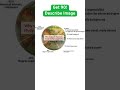 PTE Describe Image - the map of globe