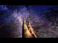 Starry Night | Meditation Music | Relaxing Music | Soothing Music | Sleep Music 