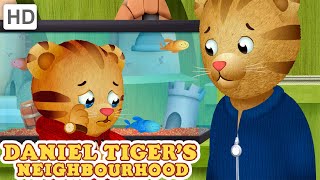 Daniels Fish Dies Season 3 Hd Full Episodes Daniel Tiger