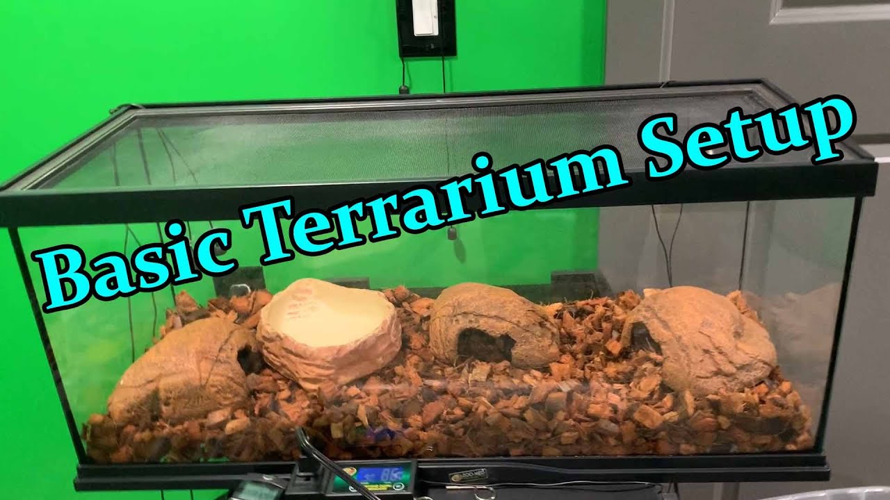 Basic Ball Python Setup - YouTube