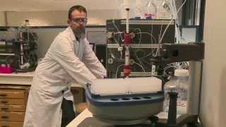 Details New hope for AIDS Update