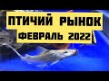 Птичий рынок!! 2022 год