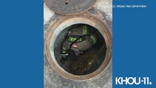 Photos Spring Firefighter Rescue Adorable Kitten From Sewer