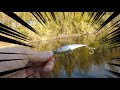 【レイドジャパン 】ハイピッチで小魚みたいに泳ぐルアーを手に入れた！
