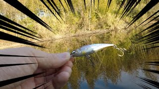 【レイドジャパン 】ハイピッチで小魚みたいに泳ぐルアーを手に入れた！