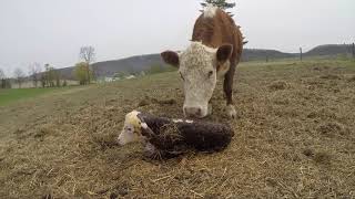 Seasons on the Farm | Spring 2021