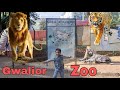 Gwalior zoo | Gandhi Zoological park | #gwaliorvlogger #gwaliorvlog