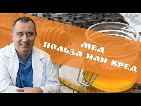 Мед: польза или вред?