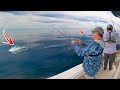 CRAZIEST Feeding Frenzy 15 Miles Offshore - Giant after Giant!