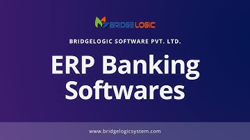 Custom ERP Banking Software Solutions from BridgeLogic