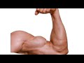 How to get bigger muscle and chest