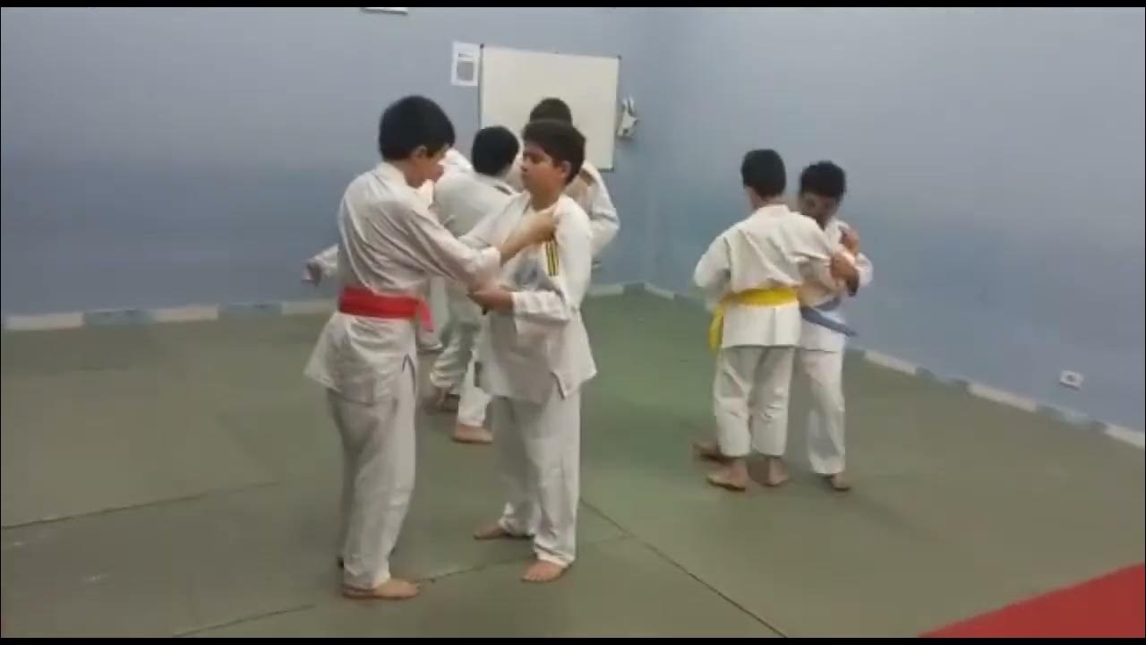 Uchikomi L'esprit Du Judo Scan Vf Uchikomi. O grande caminho para o aprendizado do Jūdō - YouTube