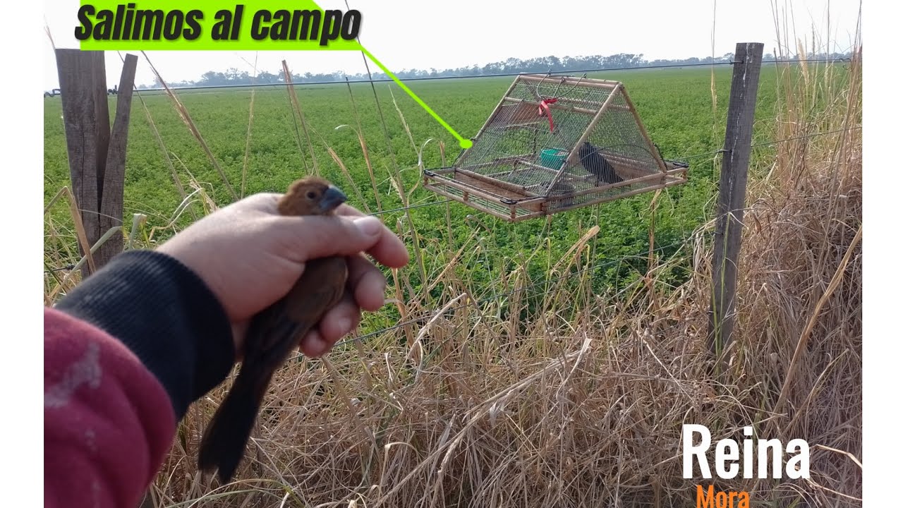 Нашли ли мы то, что искали? 😱 (Рейна Мора, Кампо)