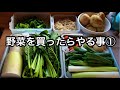 【野菜の保存】保存容器の使い方がスゴイ！これで野菜を無駄にしない！主婦目線の野菜の下準備