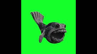 Zoonomaly Green Screen 주노말리 그린스크린 Shorts