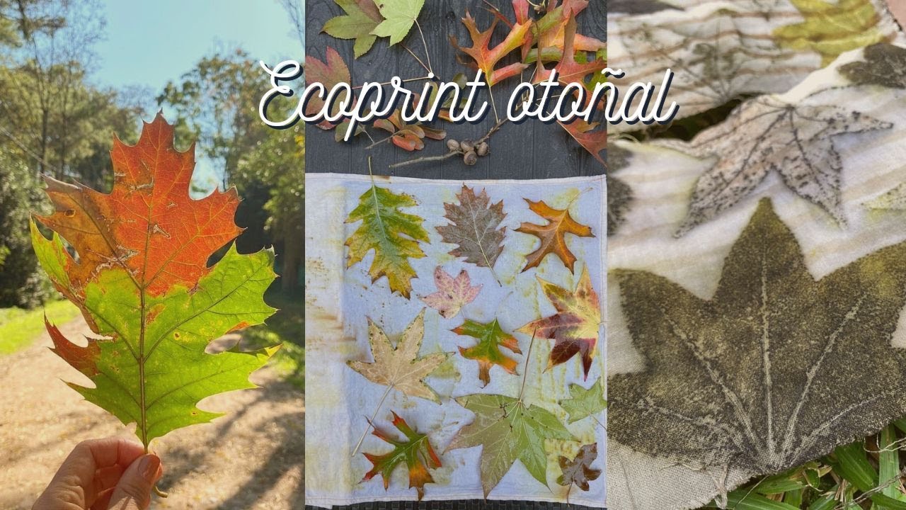 ¿Cómo hacer ecoprint en otoño?