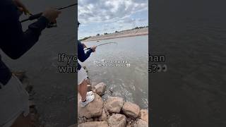 Which one is a BASS?🤷🏻‍♂️ #fishing #shorts