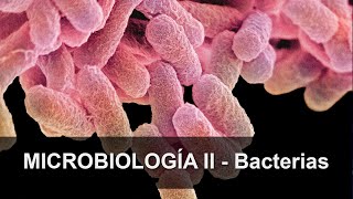 Microbiología 02: Bacterias