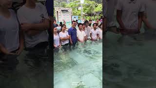 #viralshort #baptism  #plantitasandplantitos #subscribers #nature #camacop #highlights