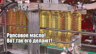 Загружены на 100% почти весь год! Вот как делают рапсовое масло и продают его в Китай