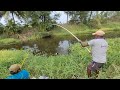 Tortoise &amp; Two types of fishes(Rohu &amp; Tilapia)Catching in Village Pond|Best Single Hook Fishing