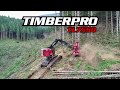 Timberpro tl755d feller buncher cutting in oregon  quadco 24b