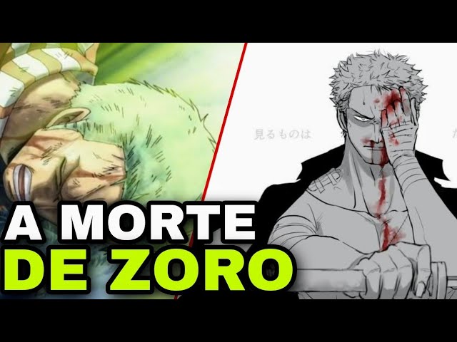 Mano é sério mesmo o zoro morreu??? #zoro #roronoazoro #onepiece