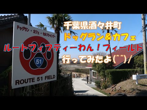 千葉県 酒々井町 ドッグラン カフェ Route 51 Field Youtube