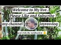 Jayros vlog is livepasaglitlangkabonsai