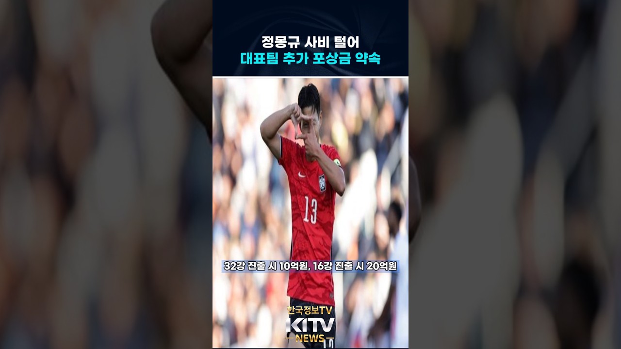 정몽규 사비로 대표팀 포상