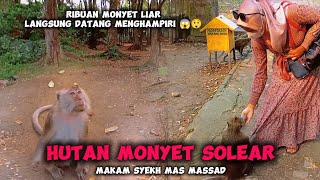 Hutan Monyet & Makam Syekh Mas Massad Keramat Solear Objek Wisata Tangerang