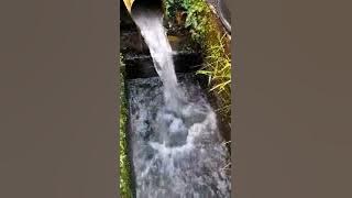 Segarnya pagi² dengar suara air mancur!! #catkapal #lemepoxy #epoxy #shorts #subscribe