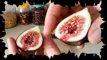 Jak se pojídají fíky?